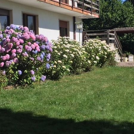 Villa Immersa Nel Verde A Lanzo dʼIntelvi Exteriör bild