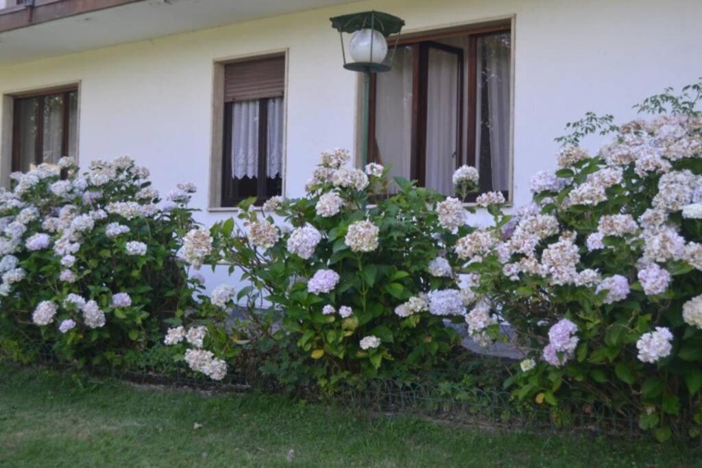 Villa Immersa Nel Verde A Lanzo dʼIntelvi Exteriör bild